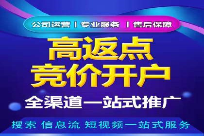 行业标杆：SEM推广代运营成功案例
